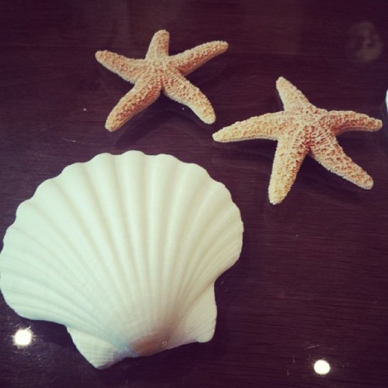 10011299_10202899421160994_160725954_n