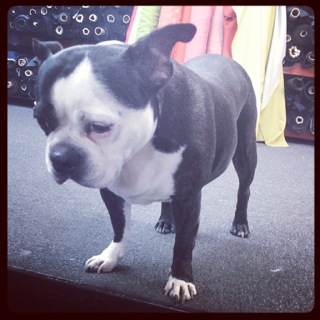 1511043_10202893122843540_1586914_n