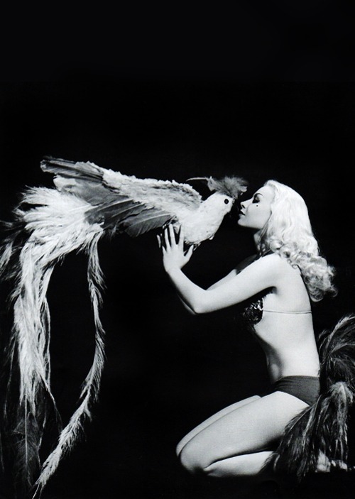 tumblr_mftosgcpIY1qa70eyo1_500